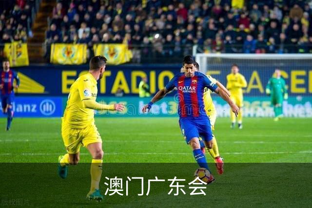 澳门广东会公司简介图片